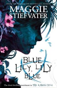 Stiefvater, Maggie - The Raven Cycle 3 Blue Lily, Lily Blue
